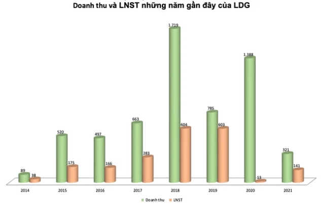 LDG đặt mục tiêu lãi sau thuế 310 tỷ đồng năm 2022, trình phương án phát hành riêng lẻ 120 triệu cổ phiếu - Ảnh 1.