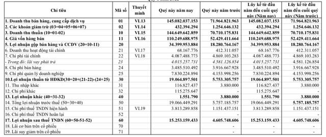 Y tế Danameco (DNM): Lãi quý 1 cao gấp hơn 3 lần cùng kỳ nhờ đẩy mạnh sản xuất khẩu trang và trang phục chống dịch - Ảnh 1.