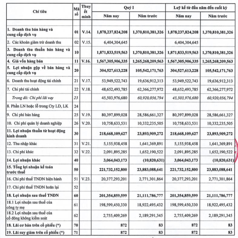 Đầu tư và Phát triển Đa quốc gia I.D.I (IDI): Nhờ cá tra, quý 1 lãi 201 tỷ đồng cao gấp 10 lần cùng kỳ - Ảnh 1.