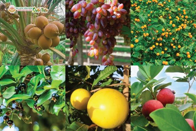 Suối Tiên thay đổi diện mạo mới sau đại dịch Covid-19! - Ảnh 3.