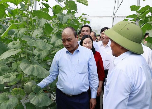 Chủ tịch nước Nguyễn Xuân Phúc thăm, tặng quà Hội Người cao tuổi Hải Dương - Ảnh 2.