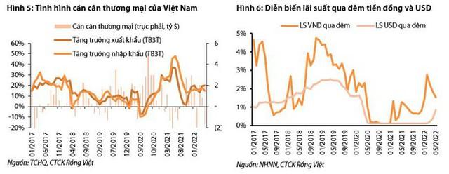 VDSC: “Ngân hàng Nhà nước đã bán ra 7 tỷ USD để cân đối cung cầu ngoại tệ” - Ảnh 2.