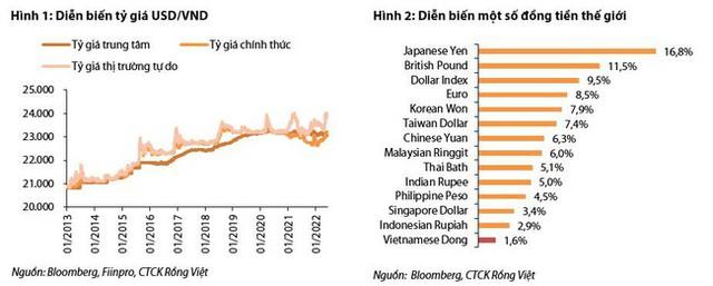 VDSC: “Ngân hàng Nhà nước đã bán ra 7 tỷ USD để cân đối cung cầu ngoại tệ” - Ảnh 1.