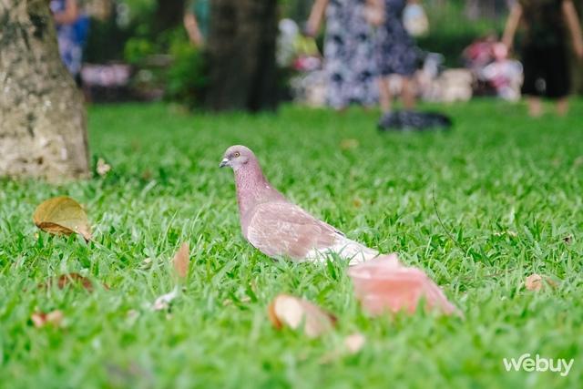 Trên tay và trải nghiệm nhanh Fujifilm X-H2s: Tốc độ được đặt lên hàng đầu - Ảnh 21. Trên tay và trải nghiệm nhanh Fujifilm X-H2s: Tốc độ được đặt lên hàng đầu - Ảnh 21.