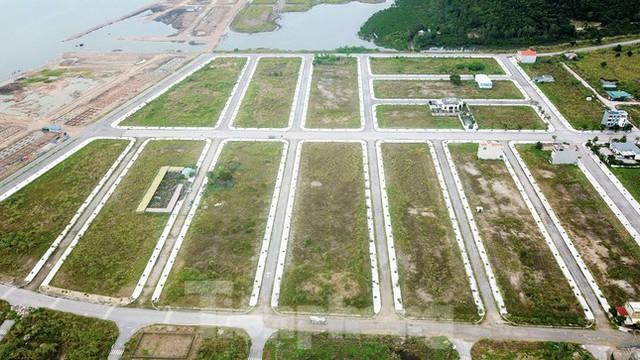 Khu đô thị gần 100ha đất vàng ở Quảng Ninh bỏ hoang, cỏ mọc um tùm - Ảnh 14. Khu đô thị gần 100ha đất vàng ở Quảng Ninh bỏ hoang, cỏ mọc um tùm - Ảnh 14.