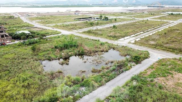 Khu đô thị gần 100ha đất vàng ở Quảng Ninh bỏ hoang, cỏ mọc um tùm - Ảnh 12. Khu đô thị gần 100ha đất vàng ở Quảng Ninh bỏ hoang, cỏ mọc um tùm - Ảnh 12.