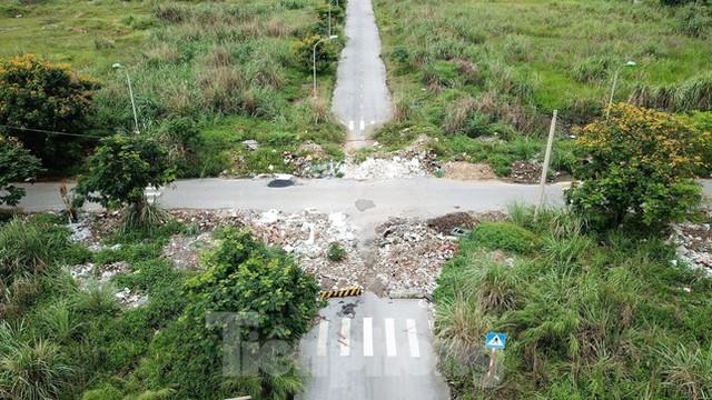 Khu đô thị gần 100ha đất vàng ở Quảng Ninh bỏ hoang, cỏ mọc um tùm - Ảnh 6. Khu đô thị gần 100ha đất vàng ở Quảng Ninh bỏ hoang, cỏ mọc um tùm - Ảnh 6.