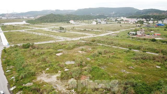 Khu đô thị gần 100ha đất vàng ở Quảng Ninh bỏ hoang, cỏ mọc um tùm - Ảnh 2. Khu đô thị gần 100ha đất vàng ở Quảng Ninh bỏ hoang, cỏ mọc um tùm - Ảnh 2.