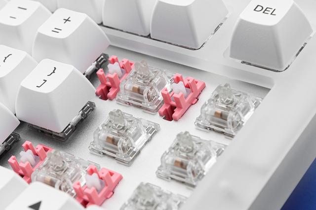 Cặp đôi bàn phím cơ AKKO ACR68 và ACR75: Nhỏ gọn thời thượng, đẹp không tỳ vết - Ảnh 6.