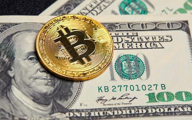 Euro, Bitcoin và USD cùng tăng mạnh trước khi ECB công bố quyết định lãi suất