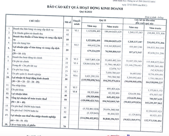 Kinh doanh bất động sản nhưng đầu tư chứng khoán là chính, Nhà Đà Nẵng (NDN) lỗ hơn 114 tỷ trong quý 2/2022 - Ảnh 1.