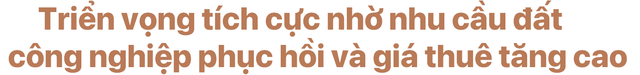 Nhu cầu thuê đất phục hồi, triển vọng tích cực cho ngành Bất động sản Khu công nghiệp nửa cuối 2022 và sang tới 2023 - Ảnh 9.