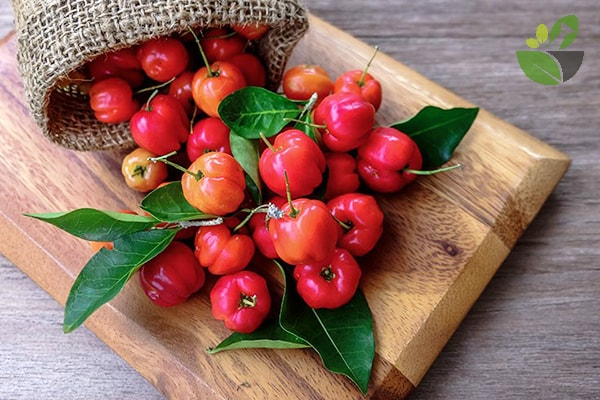 Sữa chua - táo - sơ ri: Bí quyết đẹp da, thải độc cho cơ thể mỗi ngày - Ảnh 2.