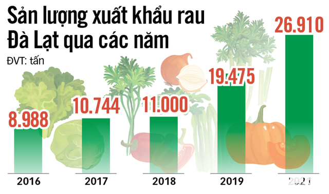 Xuất khẩu rau củ, sao vẫn khó? - Ảnh 1.