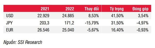 SSI Research: Nợ nước ngoài giảm nhờ tỷ giá - Ảnh 1.