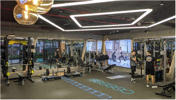 LIVEPRO - đơn vị phân phối thiết bị thể dục chức năng uy tín chất lượng tại Việt Nam - Ảnh 1.
