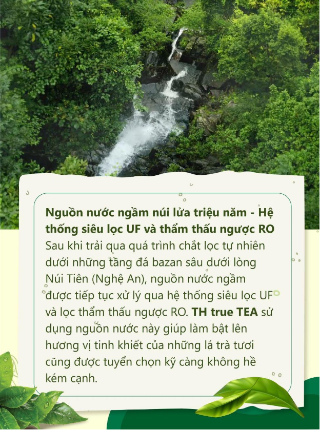 Thức uống đóng chai bao "chất" được lòng giới trẻ nhờ một từ "thật" - Ảnh 4.