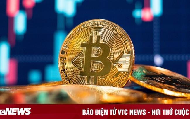 Giá Bitcoin hôm nay 8/2: Bitcoin tăng nhẹ