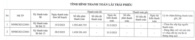 Đất Xanh Miền Nam xin lùi lịch trả lãi trái phiếu, đàm phán đổi kỳ trả lãi từ tháng sang quý - Ảnh 1.