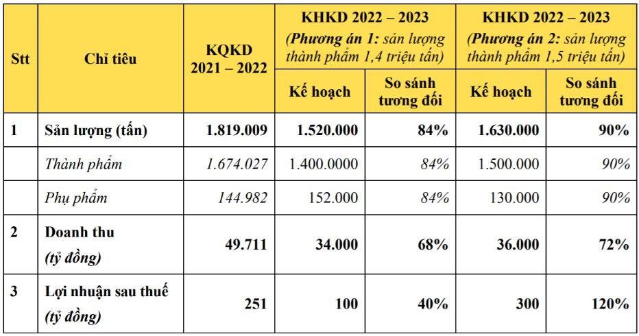 Dragon Capital trở thành cổ đông lớn của Hoa Sen Group (HSG) - Ảnh 2.