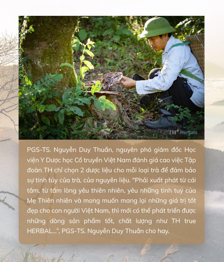 Trà túi lọc TH true HERBAL - chắt lọc và lan tỏa tinh hoa thảo dược Việt ra thế giới - Ảnh 4. Trà túi lọc TH true HERBAL - chắt lọc và lan tỏa tinh hoa thảo dược Việt ra thế giới - Ảnh 4.