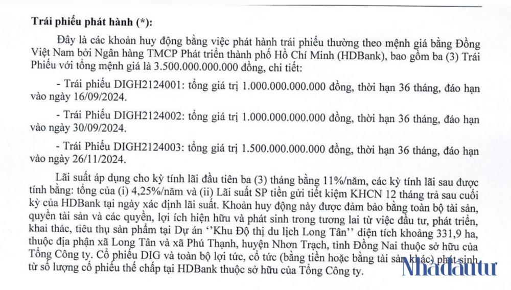 Long đong 'giấc mơ' Long Tân của DIC Corp - Ảnh 3.