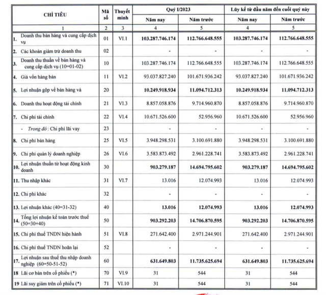 Phải trích lập dự phòng cho cổ phiếu VAB, CIDICO (CCI) lãi thấp trong quý 1/2023 - Ảnh 2.