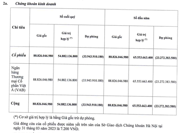 Phải trích lập dự phòng cho cổ phiếu VAB, CIDICO (CCI) lãi thấp trong quý 1/2023 - Ảnh 1.