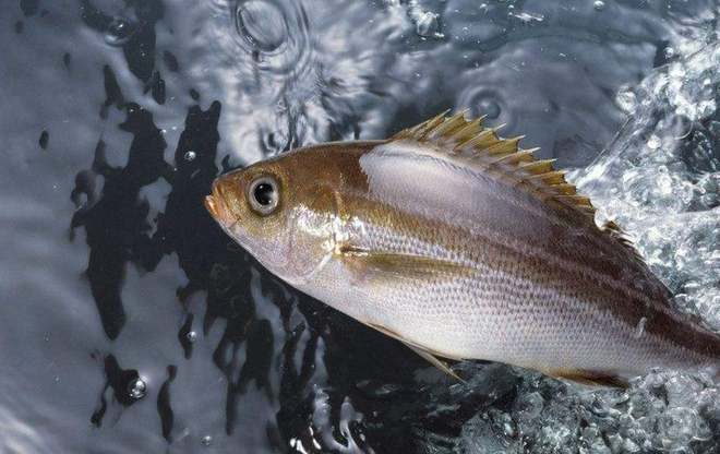 Không có tiêu đề Không có tiêu đề