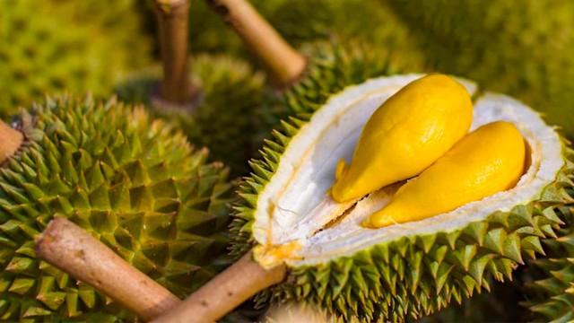 Loại quả là "vua trái cây", được ví bổ bằng 3 con gà, mùa hè có rất nhiều nhưng 4 kiểu người này đừng nên ăn - Ảnh 1.