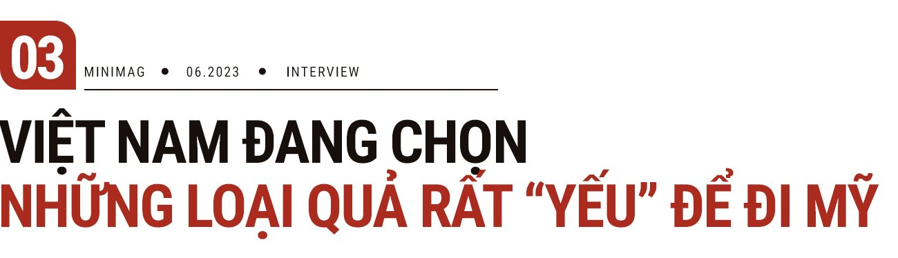 “Ông vua” xuất khẩu trái cây Việt: Chúng ta đang chọn những loại quả rất “yếu” để đi Mỹ - Ảnh 6.