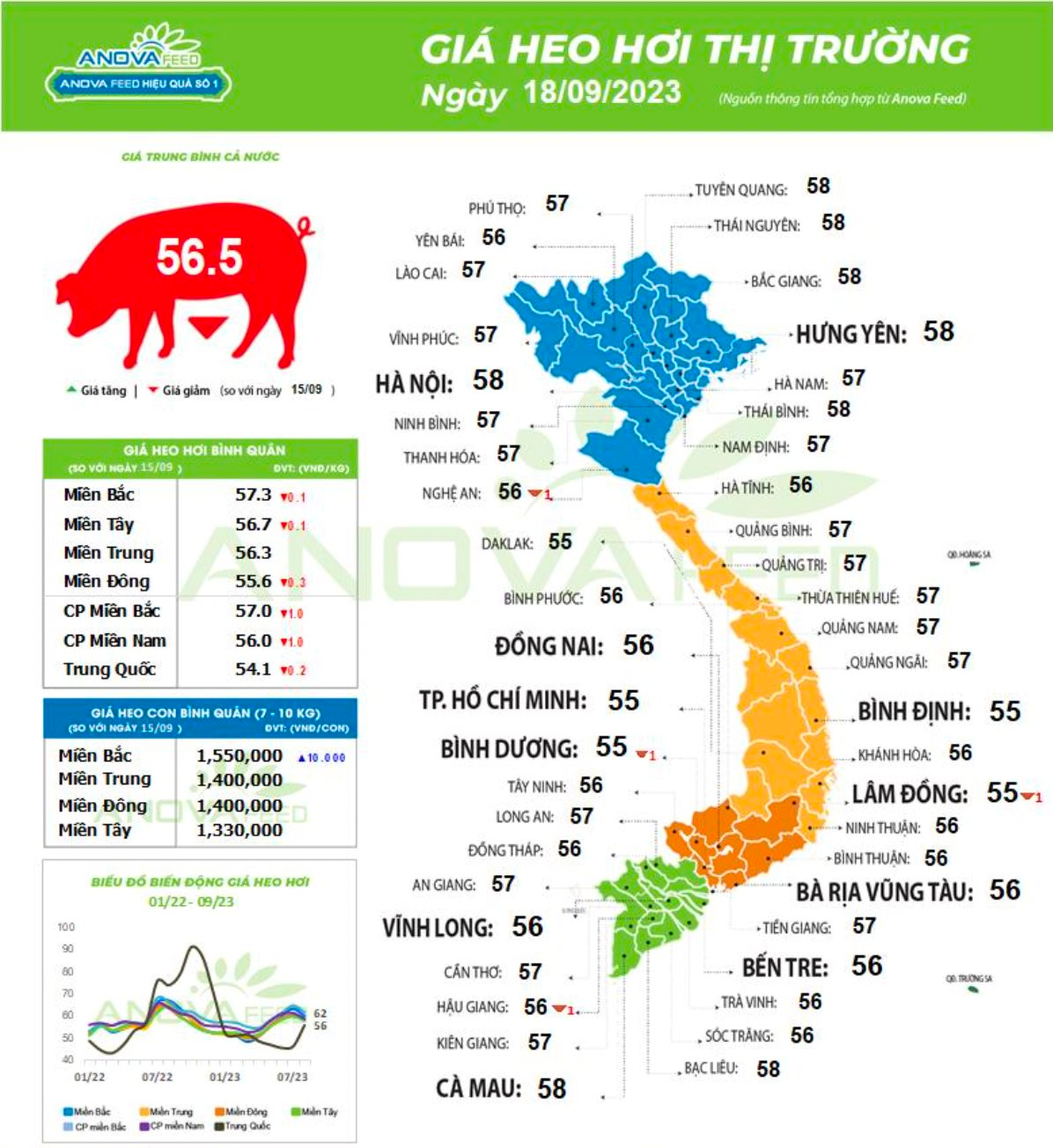 DN chăn nuôi heo đầu tiên ước tính KQKD 9 tháng, doanh thu cả năm dự kiến tăng 49%  - Ảnh 2.