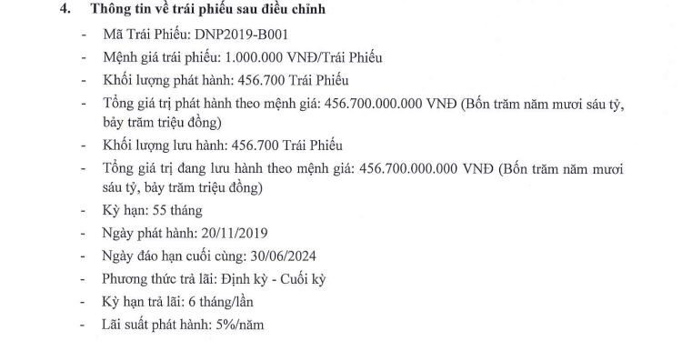 DNP Holding gia hạn 450 tỷ đồng trái phiếu thêm nửa năm - Ảnh 1.