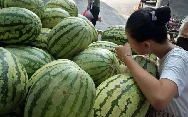 Không cần gõ, nhìn vào phần này của dưa hấu là chọn được quả ngon, ngọt lịm: Đơn giản mà chính xác