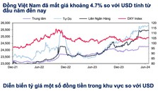 Chuyên gia: Tỷ giá USD/VND sẽ dao động trong khoảng 25.100 - 25.300 trong quý cuối năm