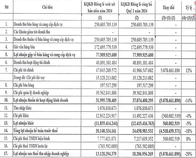 Nhiều doanh nghiệp 'bốc hơi' lợi nhuận sau soát xét- Ảnh 1.