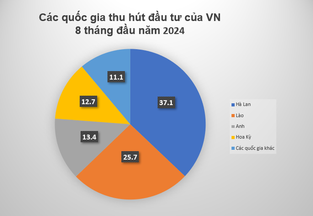 Ngành kinh tế được các doanh nghiệp Việt đầu tư nhiều nhất tại nước ngoài- Ảnh 2.