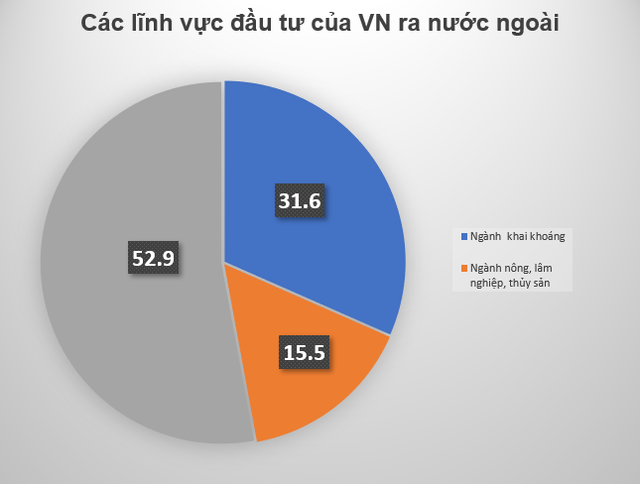 Ngành kinh tế được các doanh nghiệp Việt đầu tư nhiều nhất tại nước ngoài- Ảnh 3.