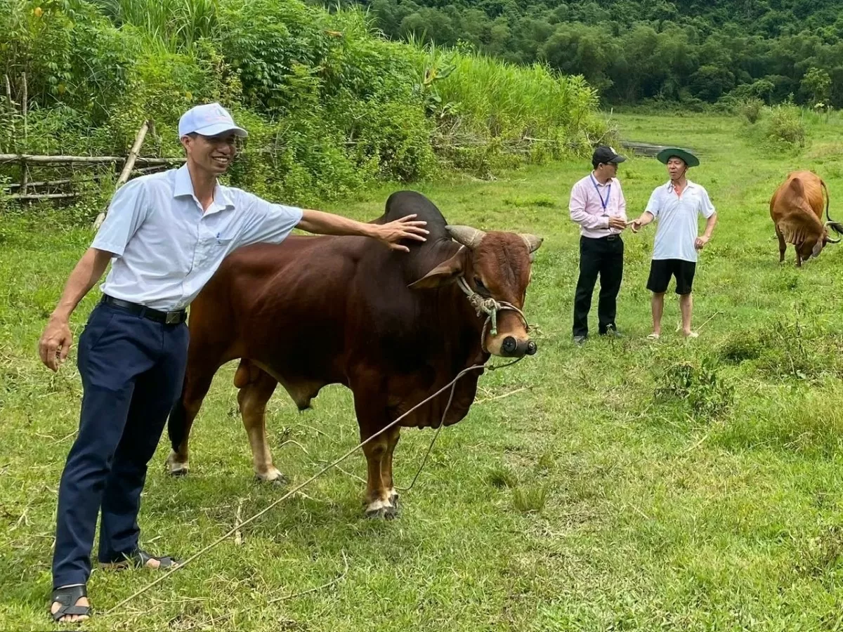 Ngân hàng Chính sách xã hội Chi nhánh Hải Phòng: Kịp thời giải ngân hỗ trợ người dân khôi phục sản xuất