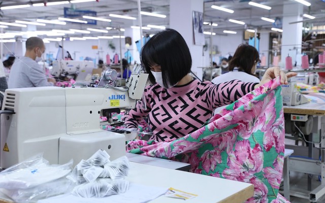 Nhiều doanh nghiệp dệt may đã có đơn hàng đến hết quý II/2025. Ảnh: Quang Vinh. Nhiều doanh nghiệp dệt may đã có đơn hàng đến hết quý II/2025. Ảnh: Quang Vinh.