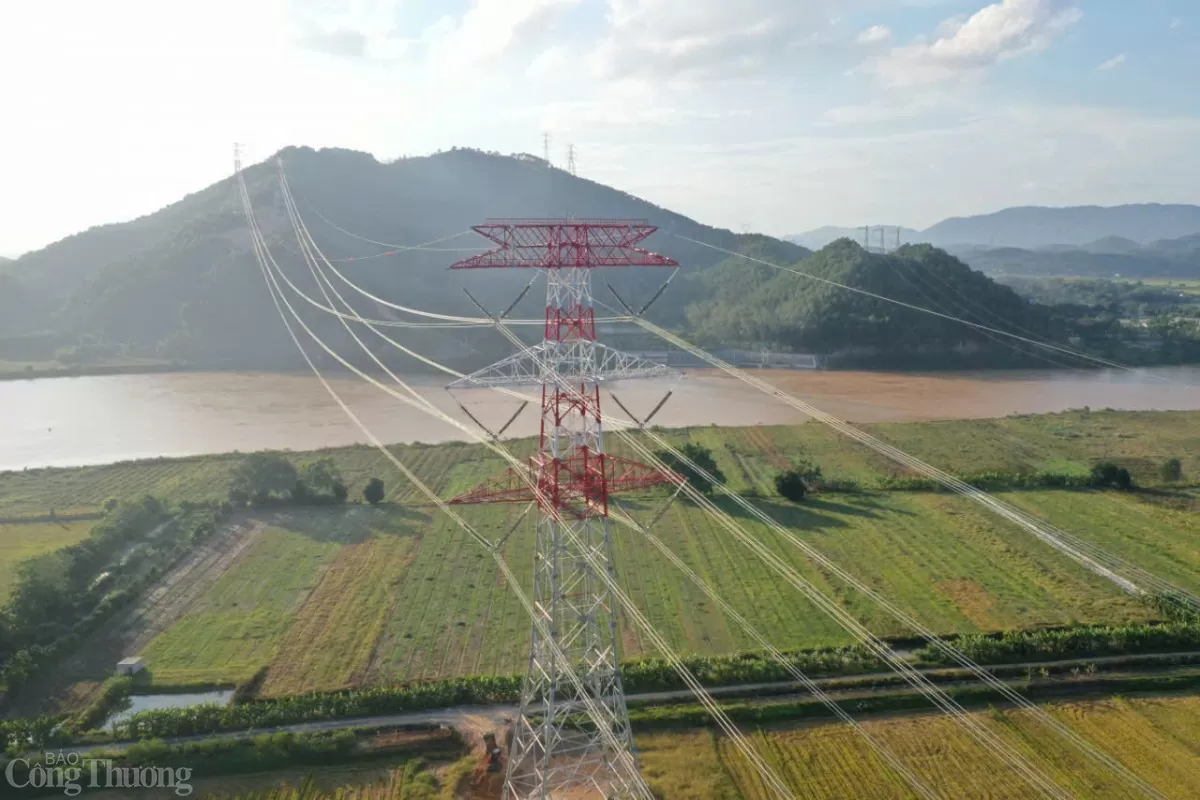 Xuân về trên đường dây 500kV mạch 3