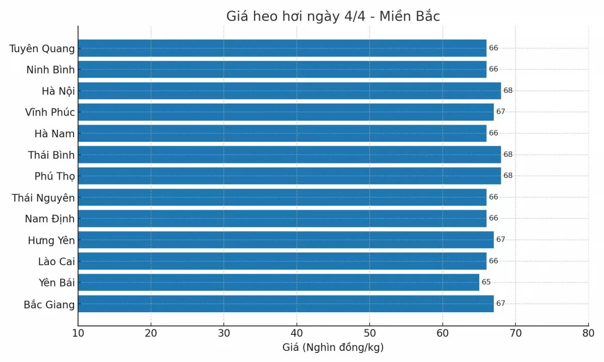 Biểu đồ giá heo hơi tại các tỉnh miền Bắc ngày 4/4.