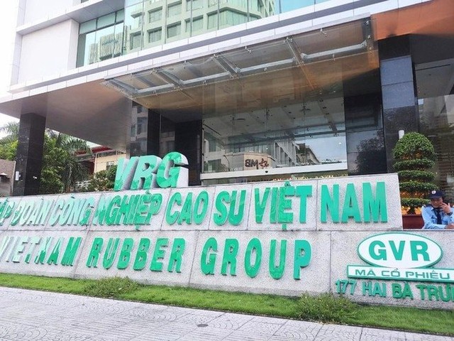 Tập đoàn Cao su (GVR) muốn nâng cổ tức tiền mặt lên 1.600 tỷ
