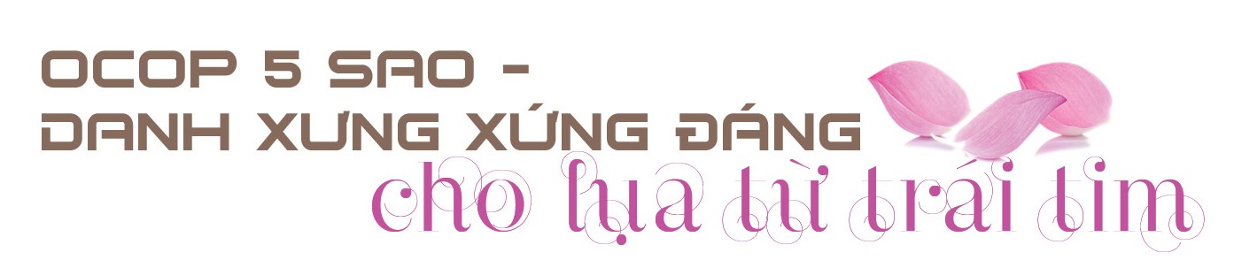 Longform | Tơ sen: Nét lặng tinh hoa giữa lòng Hà Nội