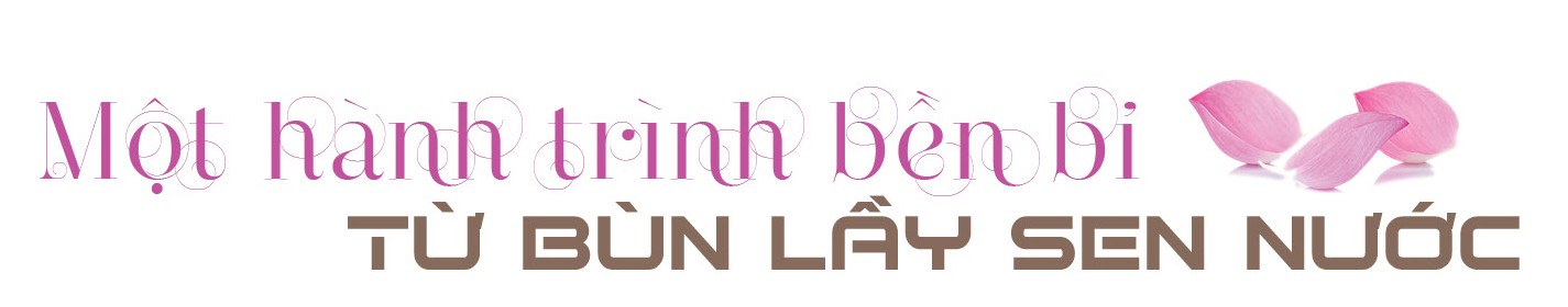 Longform | Tơ sen: Nét lặng tinh hoa giữa lòng Hà Nội