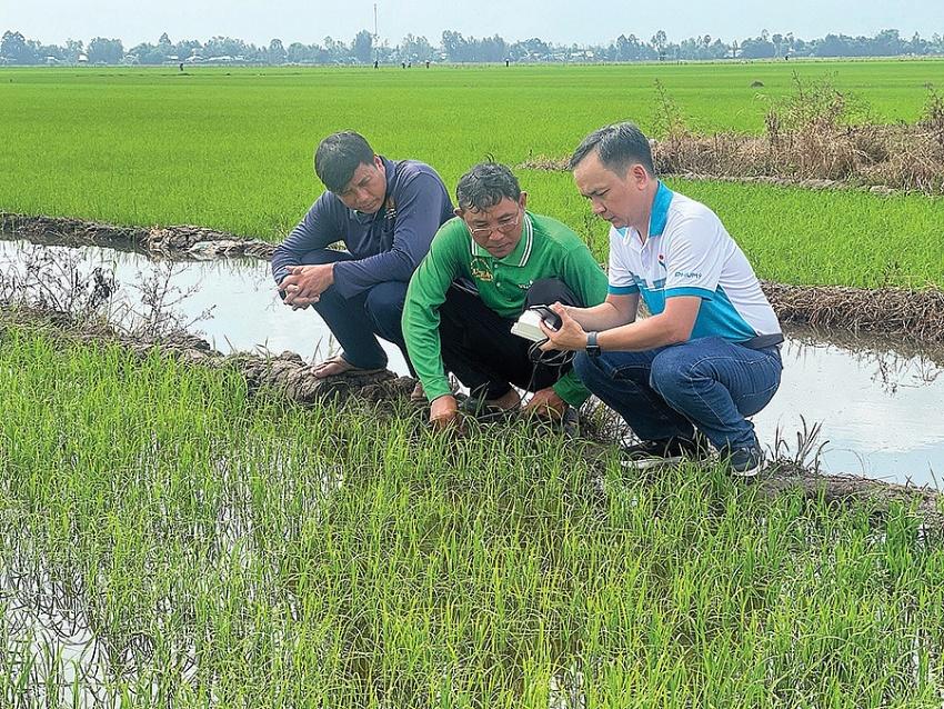 Chuyện về người chuyên bắt bệnh cho đất