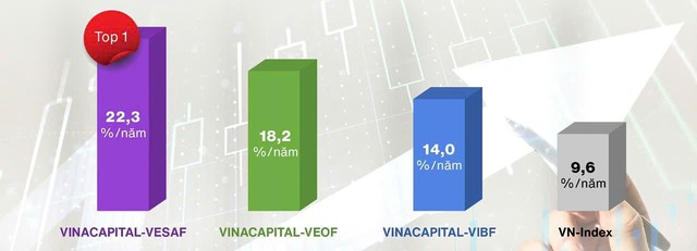 Hiệu suất 5 năm các quỹ mở cổ phiếu: Kênh đầu tư đáng tin cậy giữa biến động thị trường- Ảnh 1.
