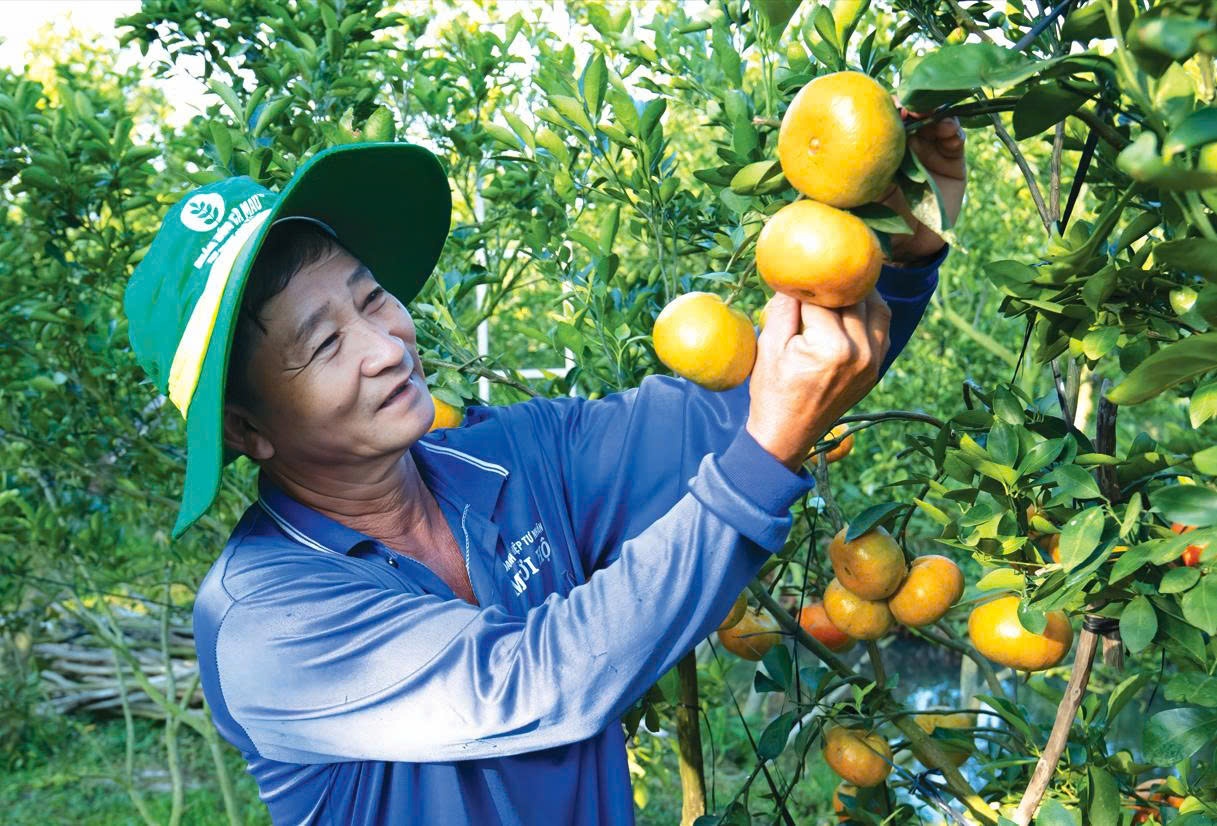 PVCFC được vinh danh Top 5 doanh nghiệp niêm yết Việt Nam - Khẳng định đẳng cấp quản trị ASEAN