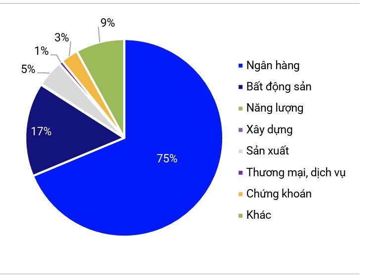 Cơ cấu ph&aacute;t h&agrave;nh theo ng&agrave;nh trong 6 th&aacute;ng đầu năm (%). Nguồn:&nbsp;S&amp;I Ratings