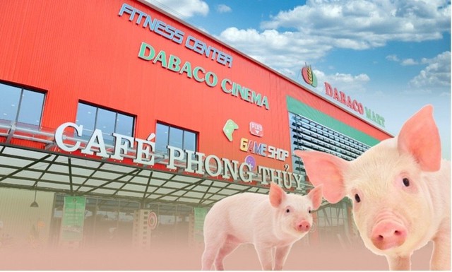 Vaccine bảo hộ hiệu quả giữa bão dịch tả lợn, Dabaco (DBC) báo lãi quý 2 tăng trưởng 250%